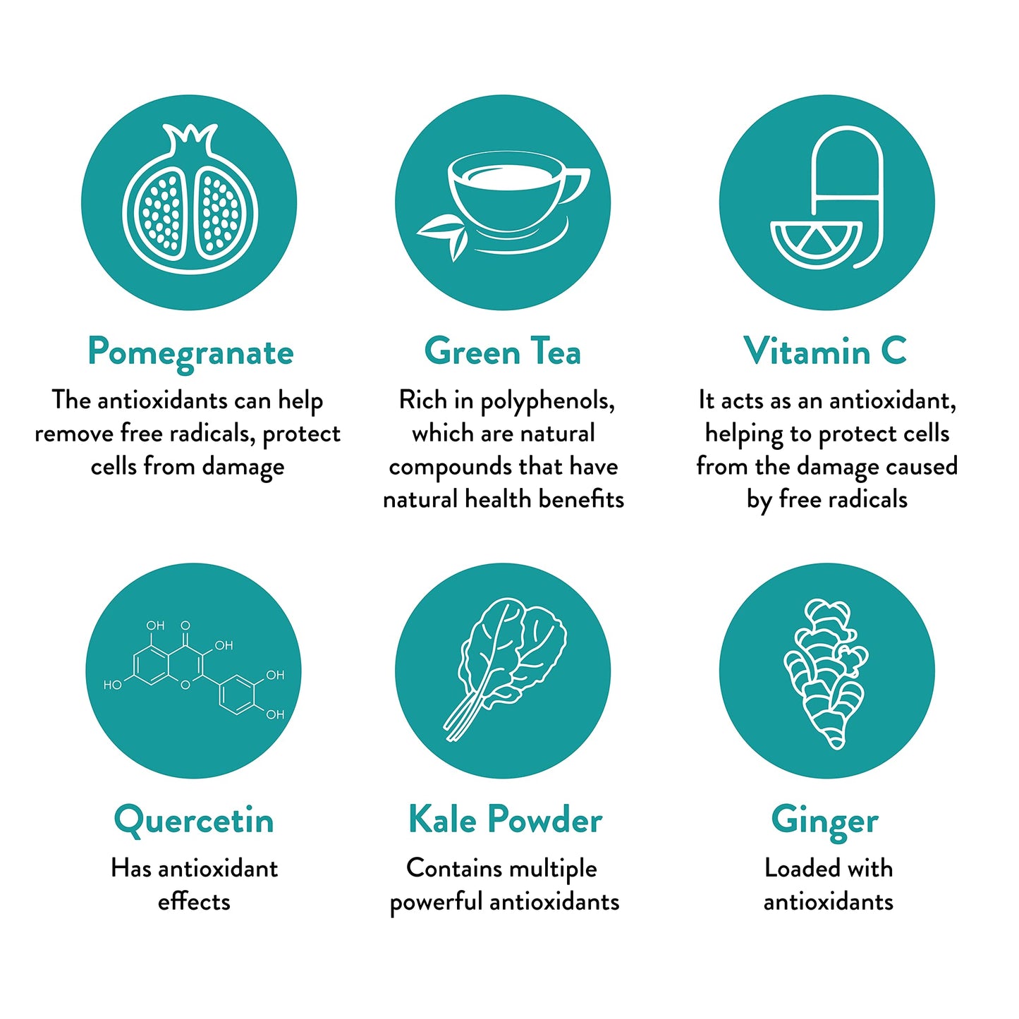 Keto-Green Chocolate Vegan Protein Powder for Women by Dr. Anna Cabeca | Plant Based Protein Powder with Greens | Dairy Free, Sugar Free | Protein Shake 40 Servings