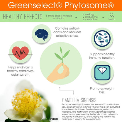 Genius Probiotics for Weight Loss with Green Tea Extract - Fat Burner Supplement & Digestive