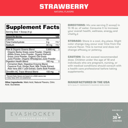 MTN OPS Daily Greens Superfood Powder Stick Packs, Raspberry