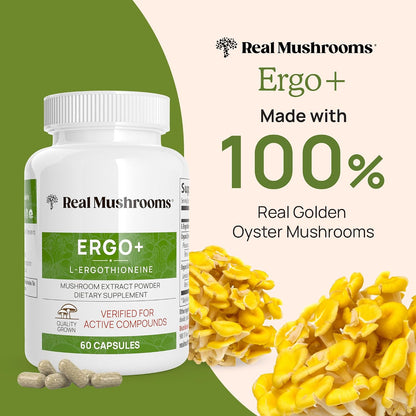 Real Mushrooms Ergothioneine (60ct) and Lions Mane (120ct) Bundle with Shiitake and Oyster Mushroom Extracts - Longevity and Cognition - Vegan, Gluten Free, Non-GMO