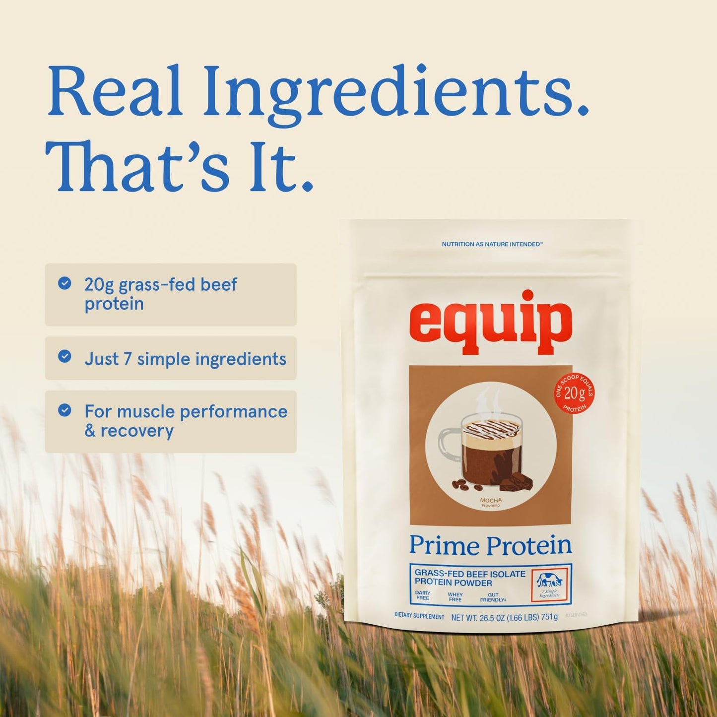 Equip Prime Mocha Protein Powder - Gut-Friendly, No Sugar Protein Shake Powder with Grass-Fed Beef & Natural Collagen - Rich & Creamy Mix - 21g Per Serving - Whey & Dairy-Free (30 Scoops)