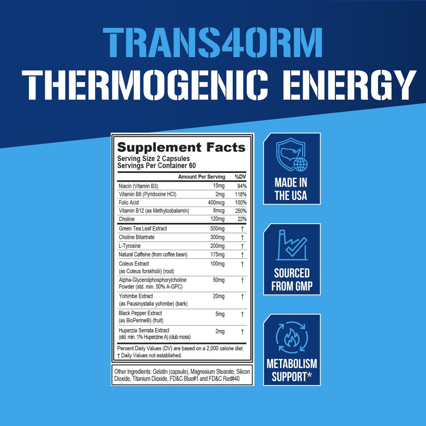 EVL Thermogenic Fat Burner Support - Fast Acting Weight Loss Energy and Appetite Support - Trans4orm Green Tea Supplement for Men and Women - 60 Servings