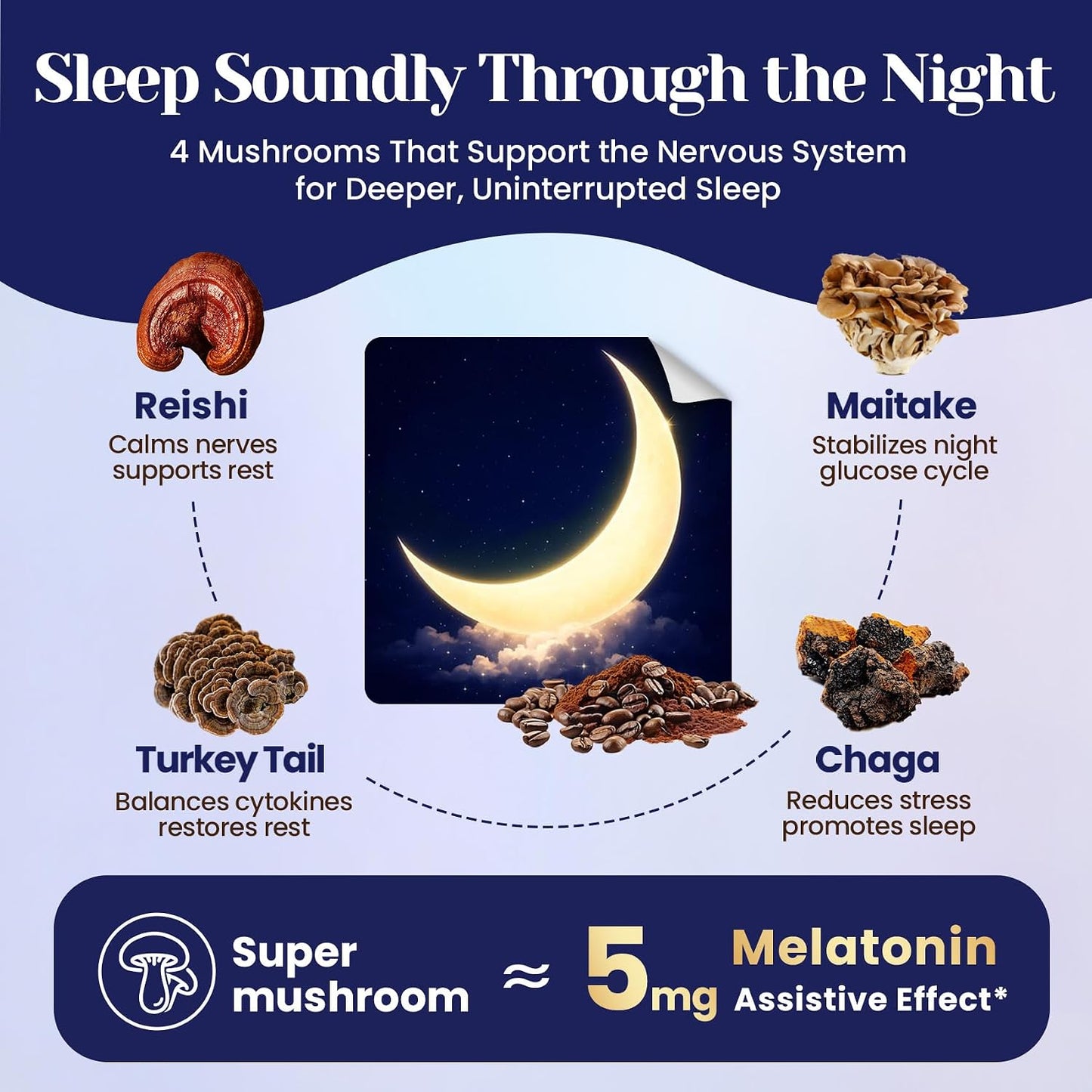 Mushroom Hot Cocoa Powder Natural Sleep Aid with 12 Superfoods, 30 Servings | Magnesium Glycinate, Melatonin 3mg, L-Theanine, Glycine, Lion's Mane, Reishi & Turkey Tail, Moon Bedtime Brew Hot Cocoa Mix