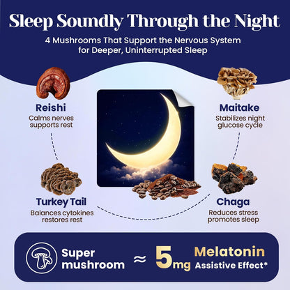 Mushroom Hot Cocoa Powder Natural Sleep Aid with 12 Superfoods, 30 Servings | Magnesium Glycinate, Melatonin 3mg, L-Theanine, Glycine, Lion's Mane, Reishi & Turkey Tail, Moon Bedtime Brew Hot Cocoa Mix
