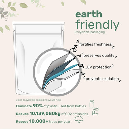 Vitamin B1 Benfotiamine 600mg Per Serving, 240 Coconut Oil Softgels | Bioavailable B Vitamins Supplement, Converted to Active Thiamine | Non-GMO, Soy Free