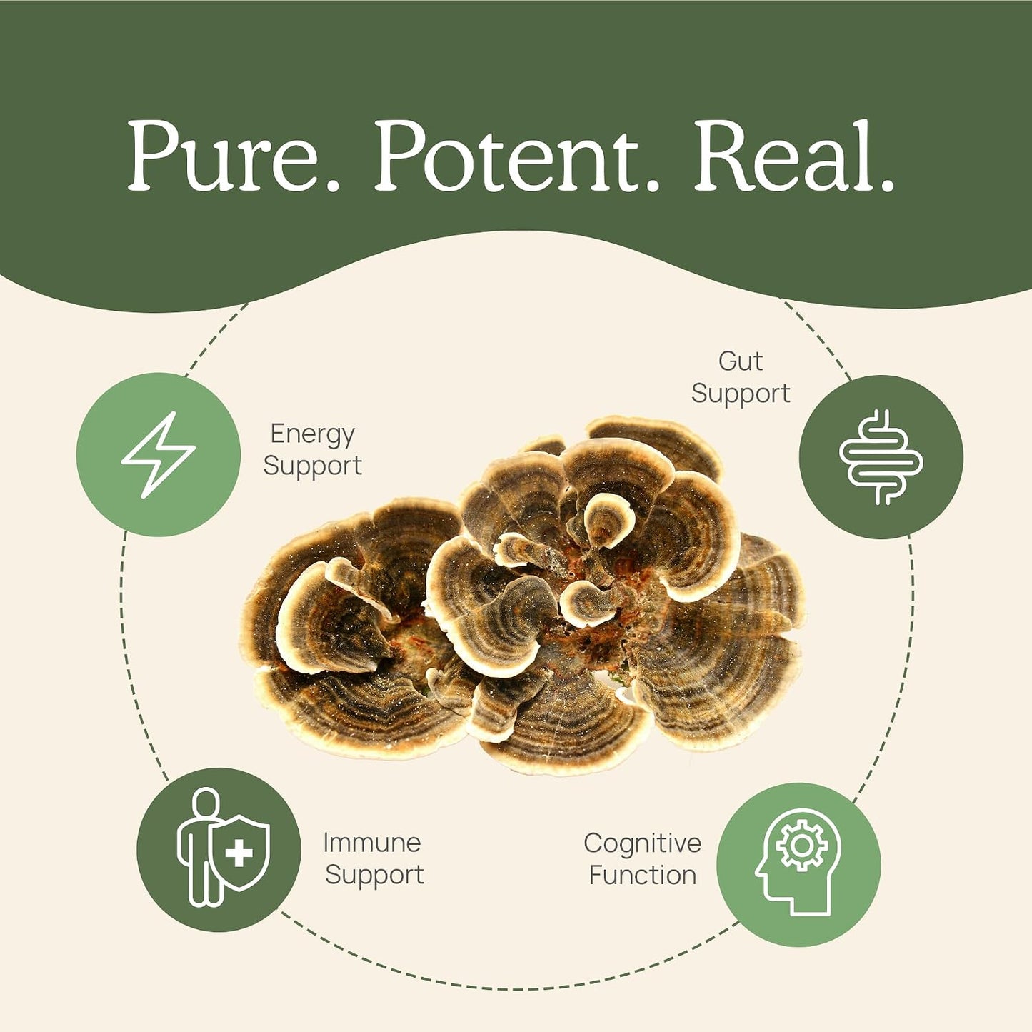 Real Mushrooms Turkey Tail for Humans & Pets - Bundle for Immune Support - Vegan, Non-GMO, Grain-Free, Gluten-Free Mushroom Extract Capsules - Verified Levels of Beta-Glucans