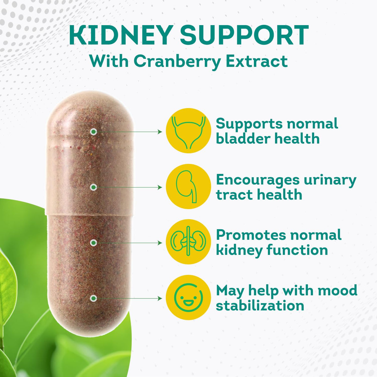 PurePremium Kidney Support Supplement for Men and Women - with Cranberry Extract