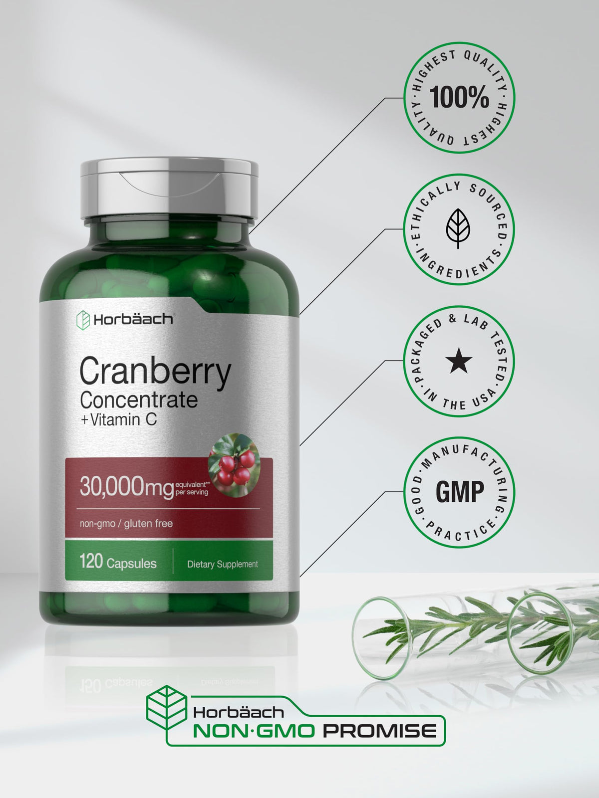 Horbaach Cranberry Concentrate Extract Pills + Vitamin C | 30,000mg | 120 Capsules
