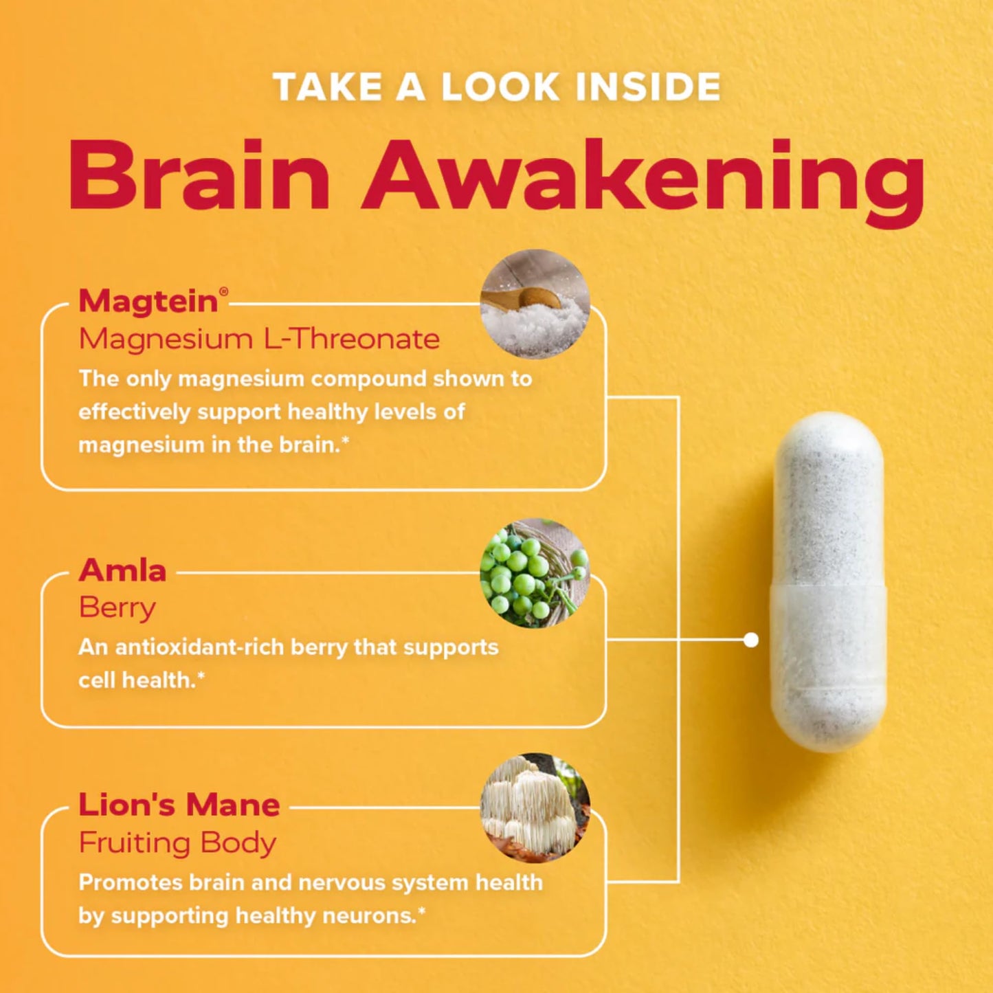 Redd Remedies, Brain Awakening, Supports Cognitive Function and Focus, 120 Vegan Capsules