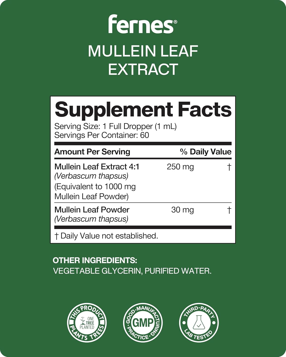 Mullein Drops for Lungs – Liquid Mullein Leaf Extract for Respiratory & Immune Support – Alcohol-Free Herbal Tincture for Men & Women – Made in USA, 3rd-Party Tested – 2 fl oz, 60 Servings