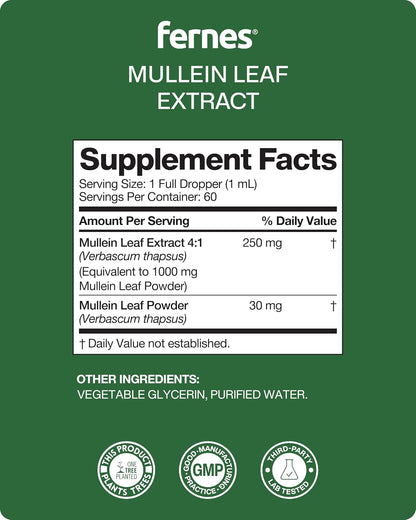 Mullein Drops for Lungs – Liquid Mullein Leaf Extract for Respiratory & Immune Support – Alcohol-Free Herbal Tincture for Men & Women – Made in USA, 3rd-Party Tested – 2 fl oz, 60 Servings