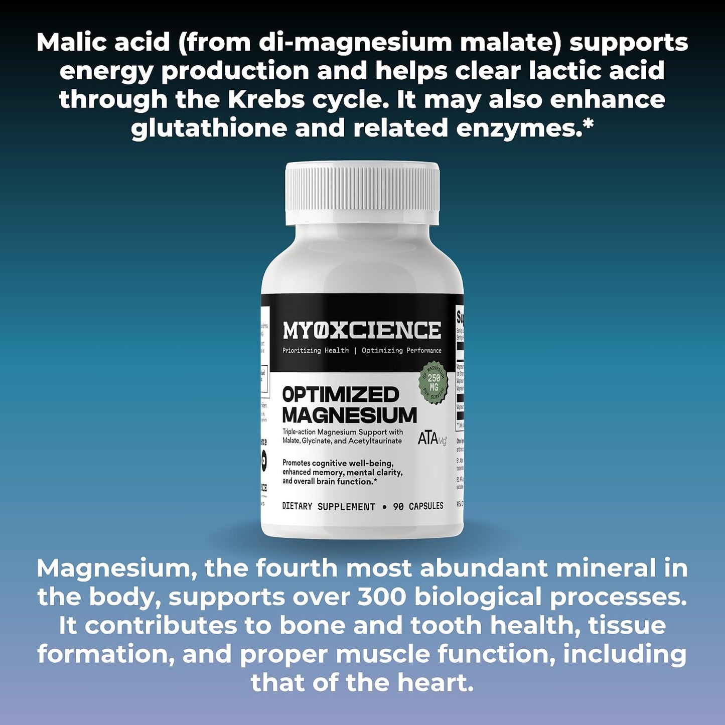 MYOXCIENCE Optimized Magnesium Glycinate + Magnesium Taurate (as ATAmag®) for High Brain Bioavailability to Support Stress Relief and Sleep | 30 Servings