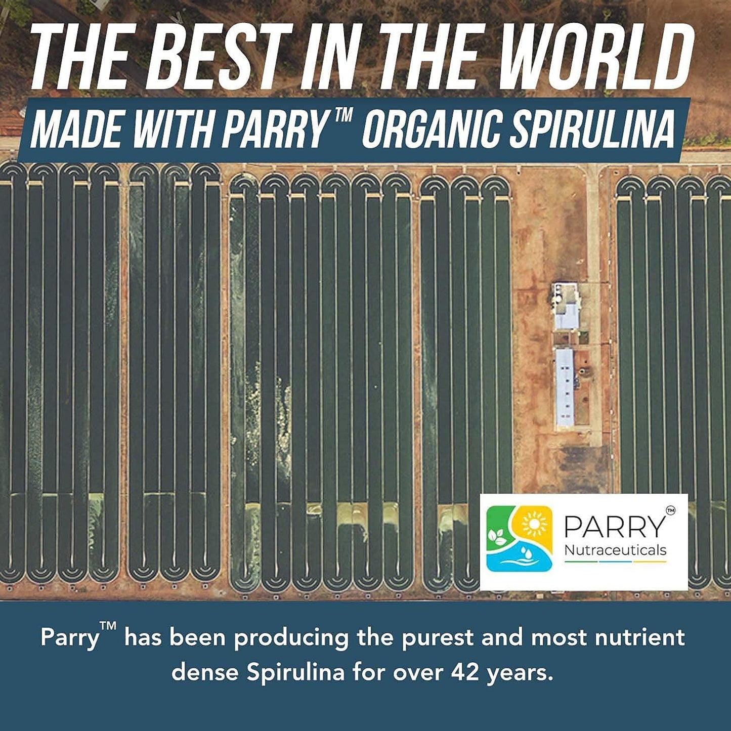 Organic Spirulina Tablets (360 Tablets) - Made with Parry® Spirulina, The Best Spirulina in the World, Highest Nutrient Density - Non-Irradiated, 3 Organic Certifications (90 Servings)