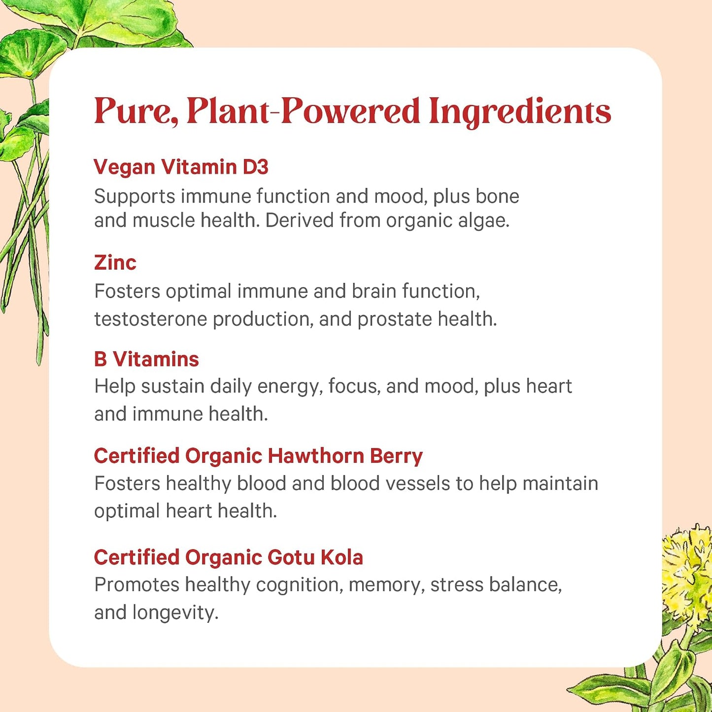 PURE SYNERGY Vita·Min·Herb for Men | Men’s Comprehensive Multivitamin Supplement | Made with Organic Whole Food Non-GMO Ingredients | Daily Energy & Immune Support (120 Tablets)