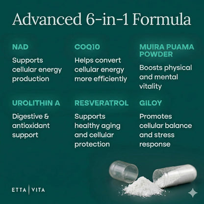 Liposomal NAD+ Supplement - Resveratrol, Muira Puama, Urolithin A, CoQ10 & Giloy (Made in USA) NAD Supplement for Natural Energy, Brain Fog, Digestion, Detox, Gut Health, Microbiome