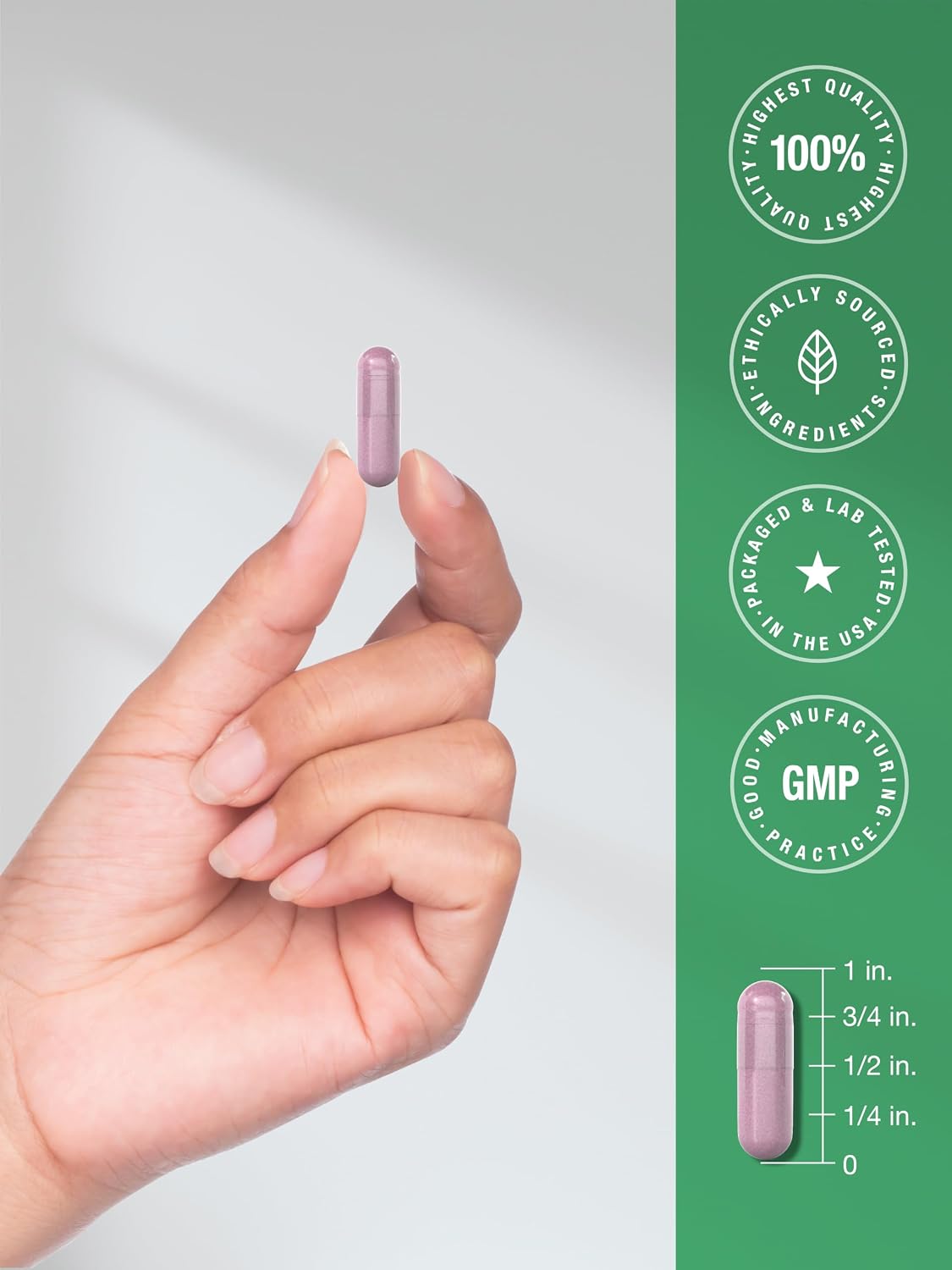 Horbäach Beet Root Powder Capsules | 220 Pills | Herbal Extract | Non-GMO, Gluten Free Supplement