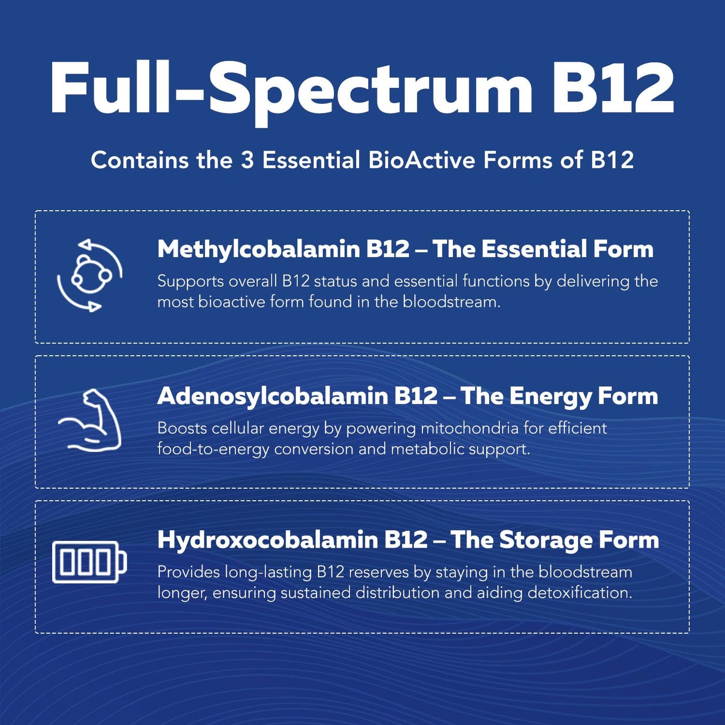 BioActive Vitamin B Complex - Blood Stream Ready, Methylated B Complex - Featuring Methylfolate, 3 BioActive Forms of B12, BenfoPure® B1 & Pantesin® B5 - 12 B Vitamins in Clinical Doses - 60 Servings