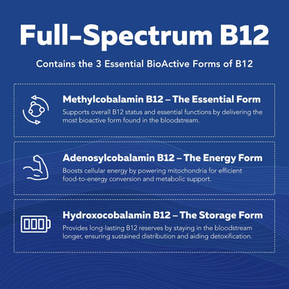 BioActive Vitamin B Complex - Blood Stream Ready, Methylated B Complex - Featuring Methylfolate, 3 BioActive Forms of B12, BenfoPure® B1 & Pantesin® B5 - 12 B Vitamins in Clinical Doses - 60 Servings