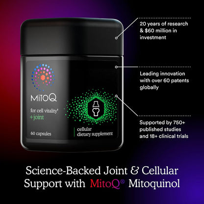MitoQ +Joint Advanced CoQ10 Antioxidant Supplement - Contains Mitoquinol Mesylate & Green Lipped Mussel Omega Oil Extract - Supports Healthy Joint, Mobility and Cell Vitality (60 Softgel Capsules)