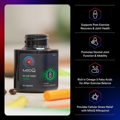 MitoQ +Joint Advanced CoQ10 Antioxidant Supplement - Contains Mitoquinol Mesylate & Green Lipped Mussel Omega Oil Extract - Supports Healthy Joint, Mobility and Cell Vitality (60 Softgel Capsules)