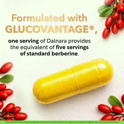 Dihydroberberine 250mg | GlucoVantage 30 days Supply | DHB supplement