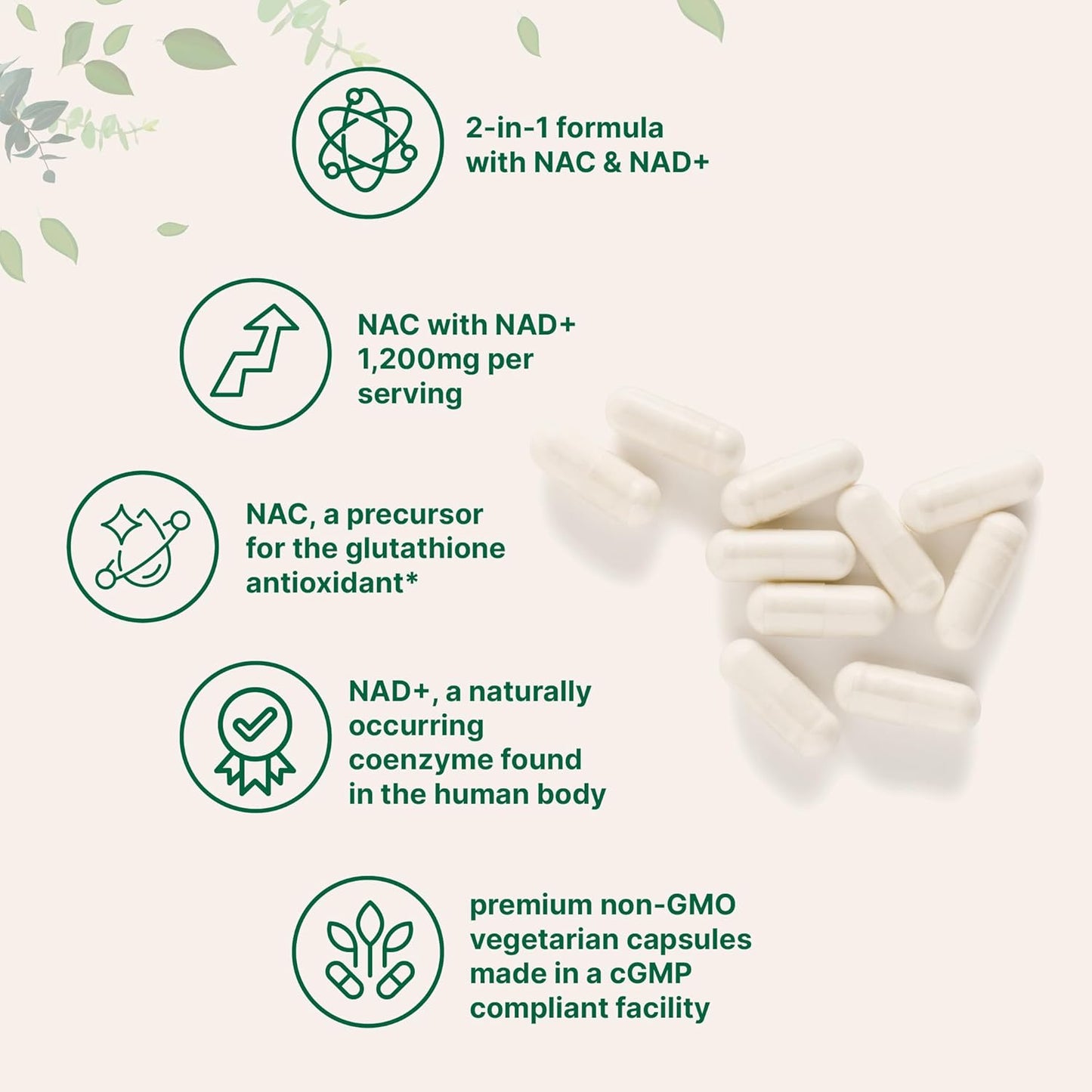 Micro Ingredients NAC with NAD+, 240 Vegetarian Capsules | 1,200 mg Per Serving | 2-in-1 N-Acetyl-L-Cysteine with Nicotinamide Adenine Dinucleotide | Non-GMO, cGMP Manufactured