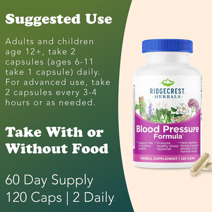 RidgeCrest Herbals Blood Pressure Herbal Formula Circulation Support 120 Ct | 60 Servings, 12 Herbs, Poria Mushroom, Gastrodia, Gardenia, Supports Vascular Wellness, Natural Herbal Blend for Adults