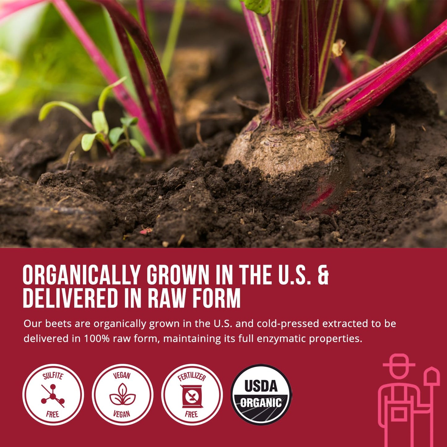 BioBeet® Max Strength Beet Root Juice Powder – 20:1 Concentrate, Each Serving Derived from 60,000 mg Organic Beetroot - Cold-Pressed, USA Grown – Nitric Oxide, Circulation Support – 50 Servings