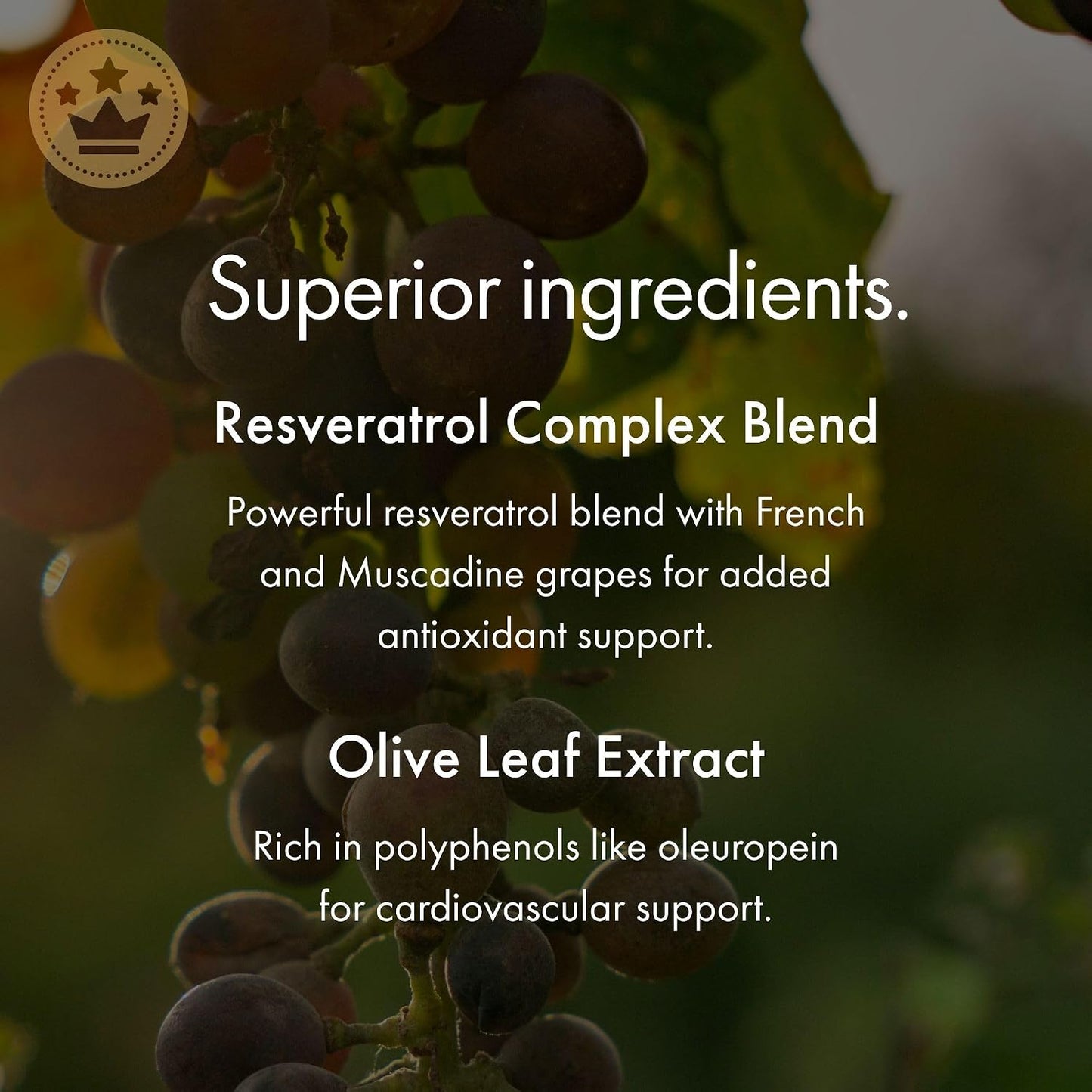 NAOMI Italian Citrus Bergamot 500mg with Resveratrol - Supports Healthy Cholesterol & Triglyceride Levels Already in Normal Range - Patented BergAmore® Extract, 7 Key Polyphenols, 30-Day Supply
