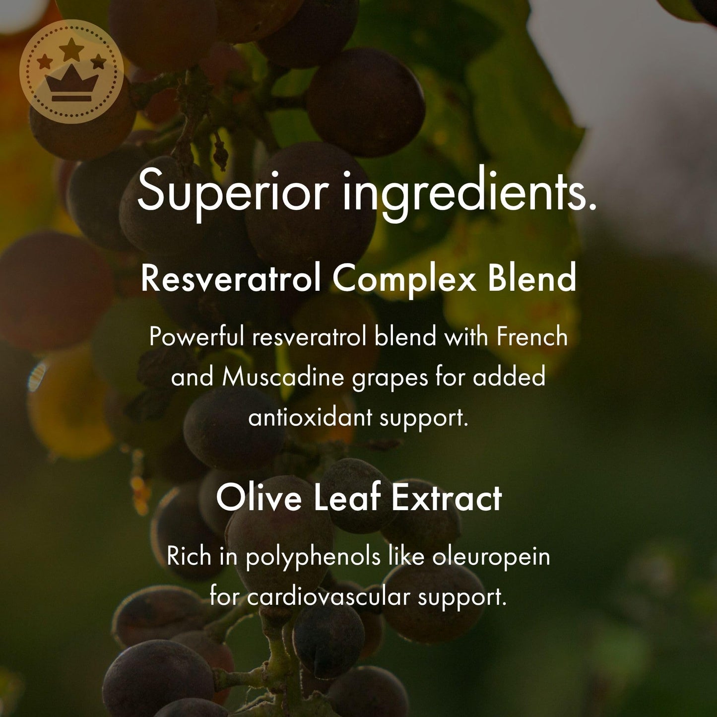NAOMI Italian Citrus Bergamot 500mg with Resveratrol - Supports Healthy Cholesterol & Triglyceride Levels Already in Normal Range - Patented BergAmore® Extract, 7 Key Polyphenols, 30-Day Supply