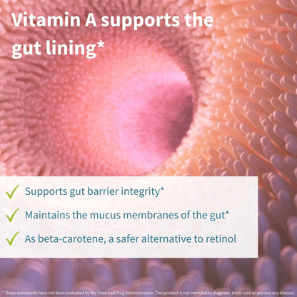 Igennus Live Cultures+ Lab4, Lactobacillus Acidophilus & Bifidobacterium | Lactis & Bifidum, 2 in 1 Probiotics & Prebiotic, 25 Billion CFU, Gut Health Support, Non-Bloating, Non-GMO, 30 Capsules