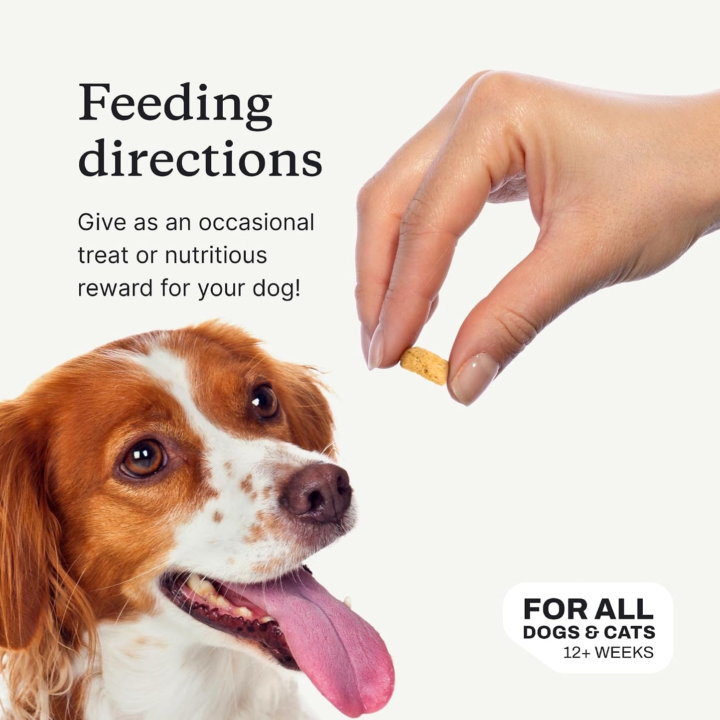 PetLab Co. Wild Caught Salmon Bites for Dogs, Freeze-Dried | 100% wild caught, single-ingredient salmon to support skin, coat and overall wellness, grain-free