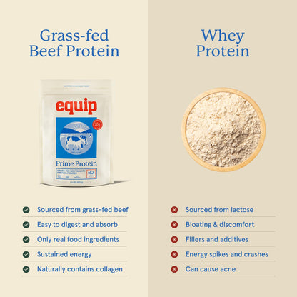 Equip Prime Chocolate Protein Powder - Gut-Friendly, No Sugar Protein Shake Powder with Grass-Fed Beef & Natural Collagen - Rich & Creamy Mix - 21g Per Serving - Whey & Dairy-Free (30 Scoops)