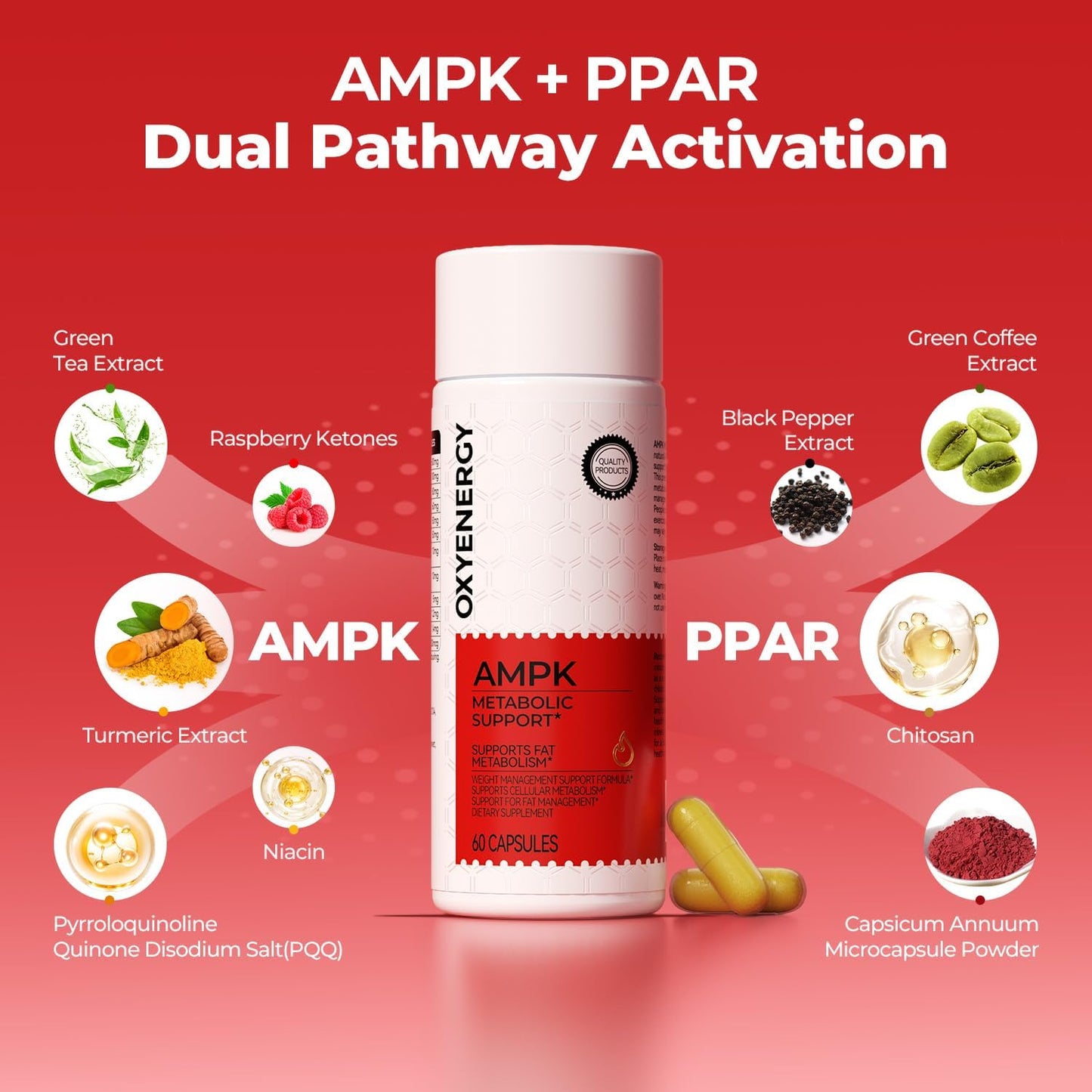 OxyEnergy AMPK Metabolic Activator Weight Loss Supplement for Women & Men, Raspberry Ketones & Green Tea Extract for Fat Burning, Metabolism Boost & Energy Support, 60 Capsules