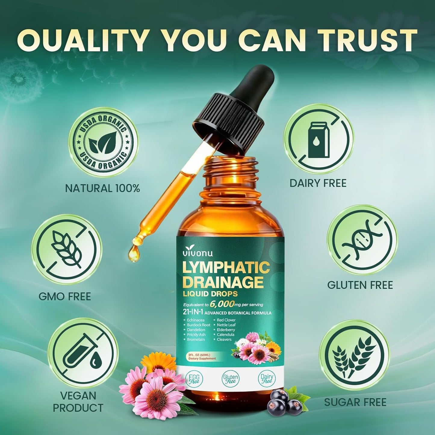 Advanced Lymphatic Drainage Detox Drops – Liposomal 21-in-1 Herbal Blend with Dandelion, Burdock, Elderberry & Turmeric – Cleanse & Immune Support (8 Fl Oz | Pack of 4)