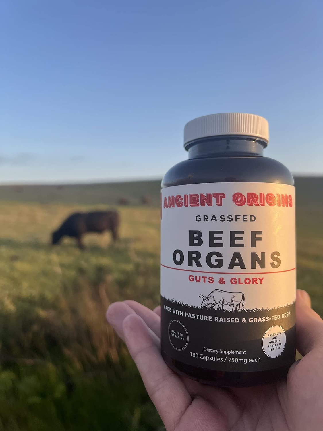 Ancient Origins Beef Organs and Bone Marrow Combo Pack