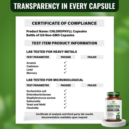 Chlorophyll Capsules 350mg – High Potency Sodium Copper Chlorophyllin Supplement for Internal Freshness, Detox, Digestion, Immune & Skin Health – Easy to Swallow – Made in USA – 120 Vegan Cap