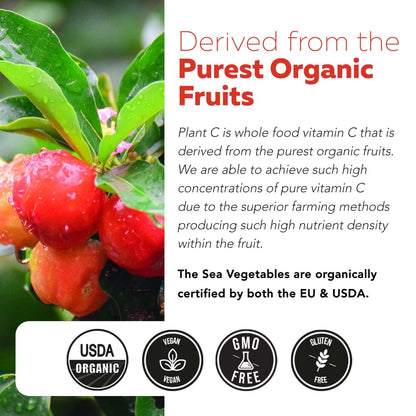 Organic Vitamin C | Whole Food Vitamin C from Fruit Plus Absorption Enhancing Cofactors - Vegan, Enhanced Bioavailability - Immune Support, Antioxidant, Total Health (90 Servings)