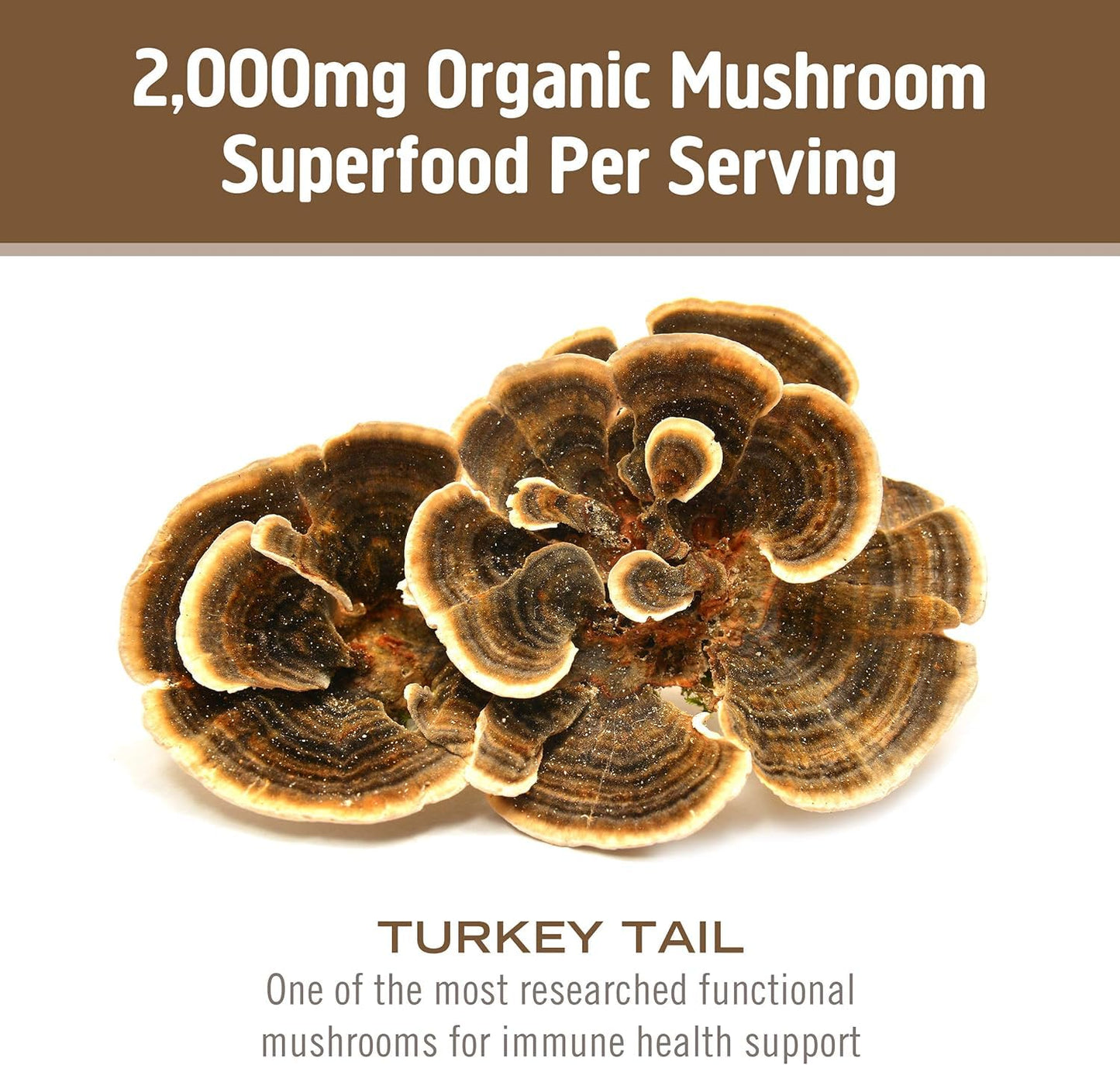 OM MUSHROOM SUPERFOOD Turkey Tail Organic Mushroom Powder Pouch, 7.05 Ounce, 100 Servings, Immune Support, Polysacchrides, Beta-Glucans, Gut Health & Holistic Defense Mushroom Supplement