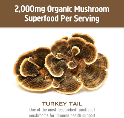 OM MUSHROOM SUPERFOOD Turkey Tail Organic Mushroom Powder Pouch, 7.05 Ounce, 100 Servings, Immune Support, Polysacchrides, Beta-Glucans, Gut Health & Holistic Defense Mushroom Supplement