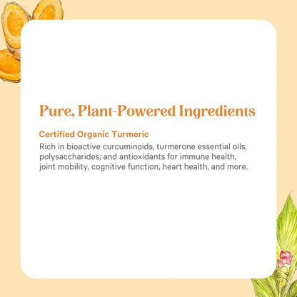 Pure Synergy SuperPure Turmeric Extract | Organic Curcumin Supplement | 500 mg Turmeric Extract Capsules | Potent Support for Immune and Joint Health (60 Capsules)