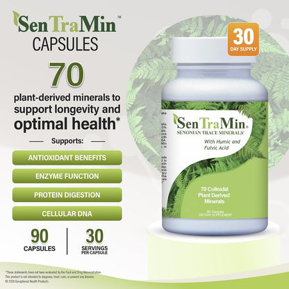 Plant Based Mineral Complex, 90 Vegetable Capsules | Daily Wellness, Energy & Immune Support with70 Plant Sourced Colloidal Trace Minerals with Antioxidants, Enzymes & More