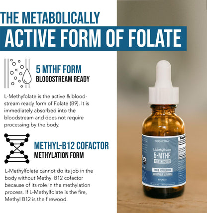 Organic Methyl Folate 1000 mcg + Methyl B12 Cofactor (300 Servings) – Metabolically Active 5-MTHF Form, Organic Berry Flavor, Liquid Sublingual Form – Mood, Cognition, Methylation, Pregnancy (1oz)