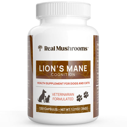 Real Mushrooms Lion’s Mane Pet Mushroom Supplement – Pet Wellbeing Capsules – for Cat & Dog Supplement & Vitamins – Support Mindful Routines – Organic, Vegan, Non-GMO, 120 Count