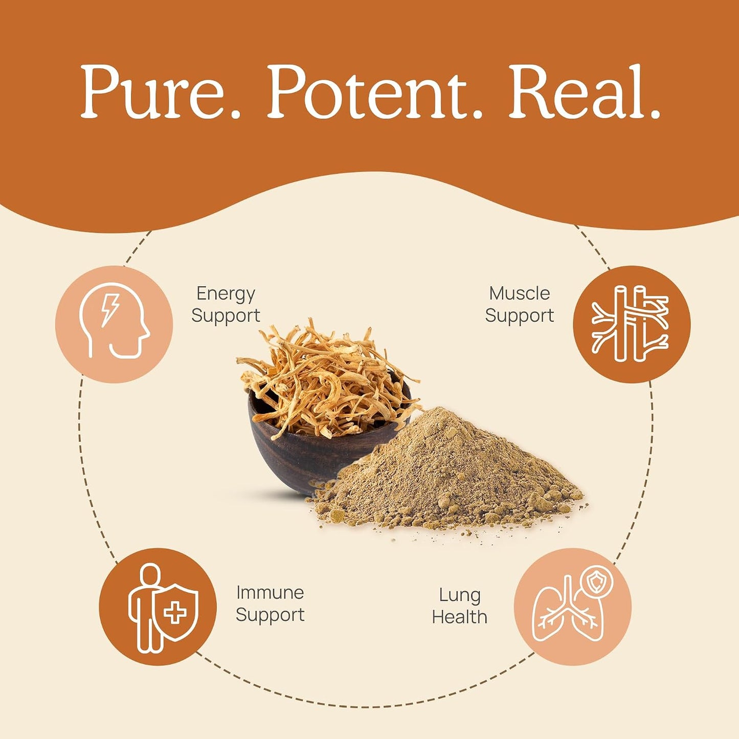 Real Mushrooms Brain, Vitality & Immune Support Bundle - Lion’s Mane Cognition Capsules (120 Capsules) + Reishi 415 Longevity Capsules (90 Capsules) & Cordyceps-M Peak Performance (120 Capsules)