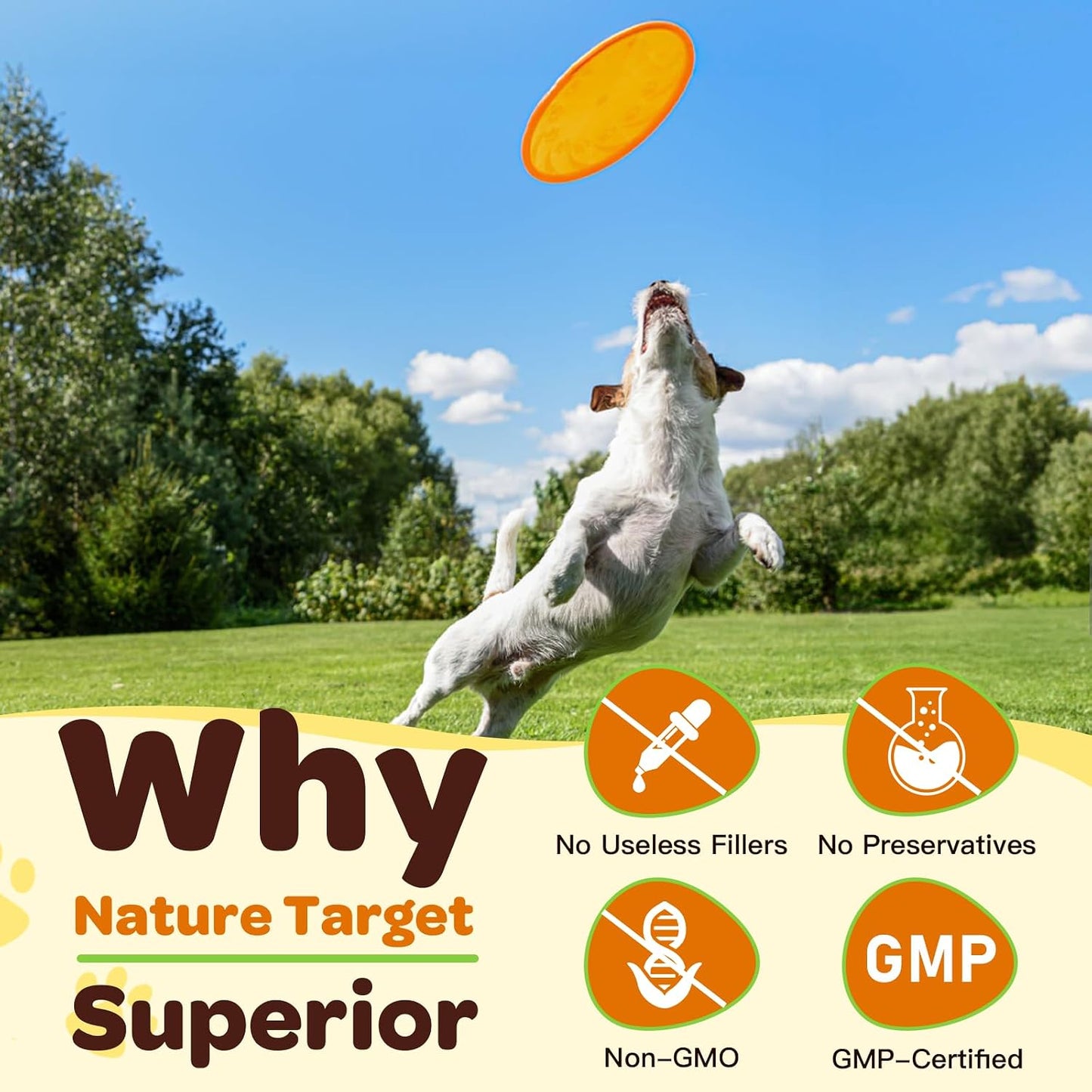 NATURE TARGET Glucosamine for Dogs Powder, Hip & Joint Supplement, 9.52 oz | With Chondroitin, MSM, Turmeric & Omega 3, Supports Hip & Joint Mobility, Joint Pain Relief, for Small, Medium & Large Breeds