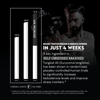 Formulation Factory Self Obsessed 10-in-1 Natural Testosterone Booster for Men, Testosterone Supplement for Men with Shilajit, Tongkat Ali, Fadogia Agrestis, 120 Capsules, 2 Month Supply