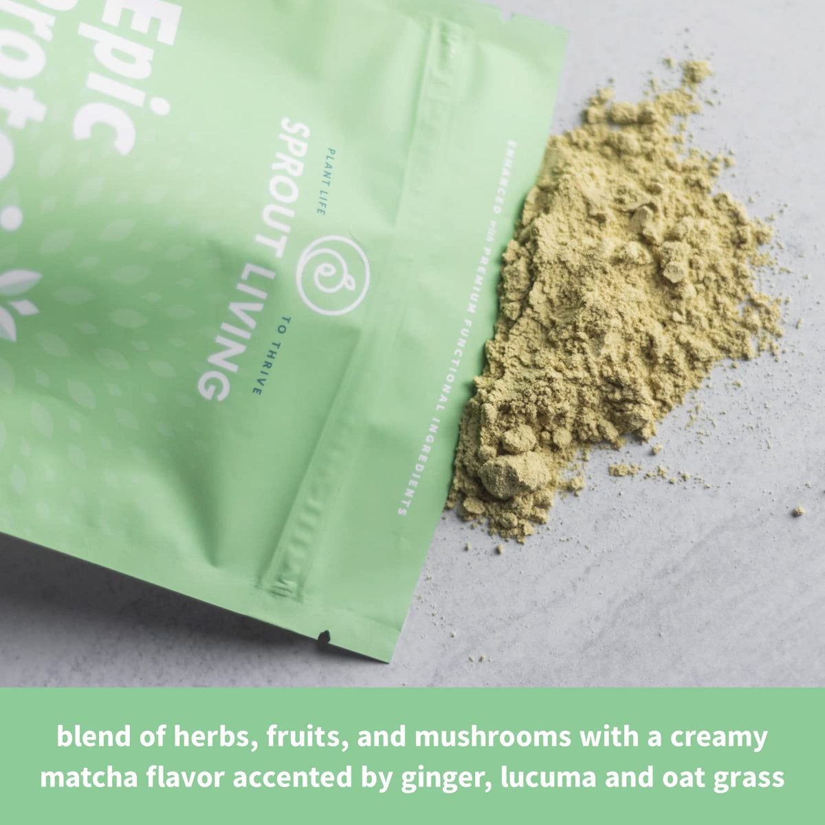 Sprout Living Epic Protein, Plant Based Protein & Superfoods Powder, Vanilla Lucuma Powder | 20 Grams Organic Protein Powder, Vegan, Non Dairy, Non-GMO, Gluten Free, Low Sugar (1 Pound, 12 Servings)