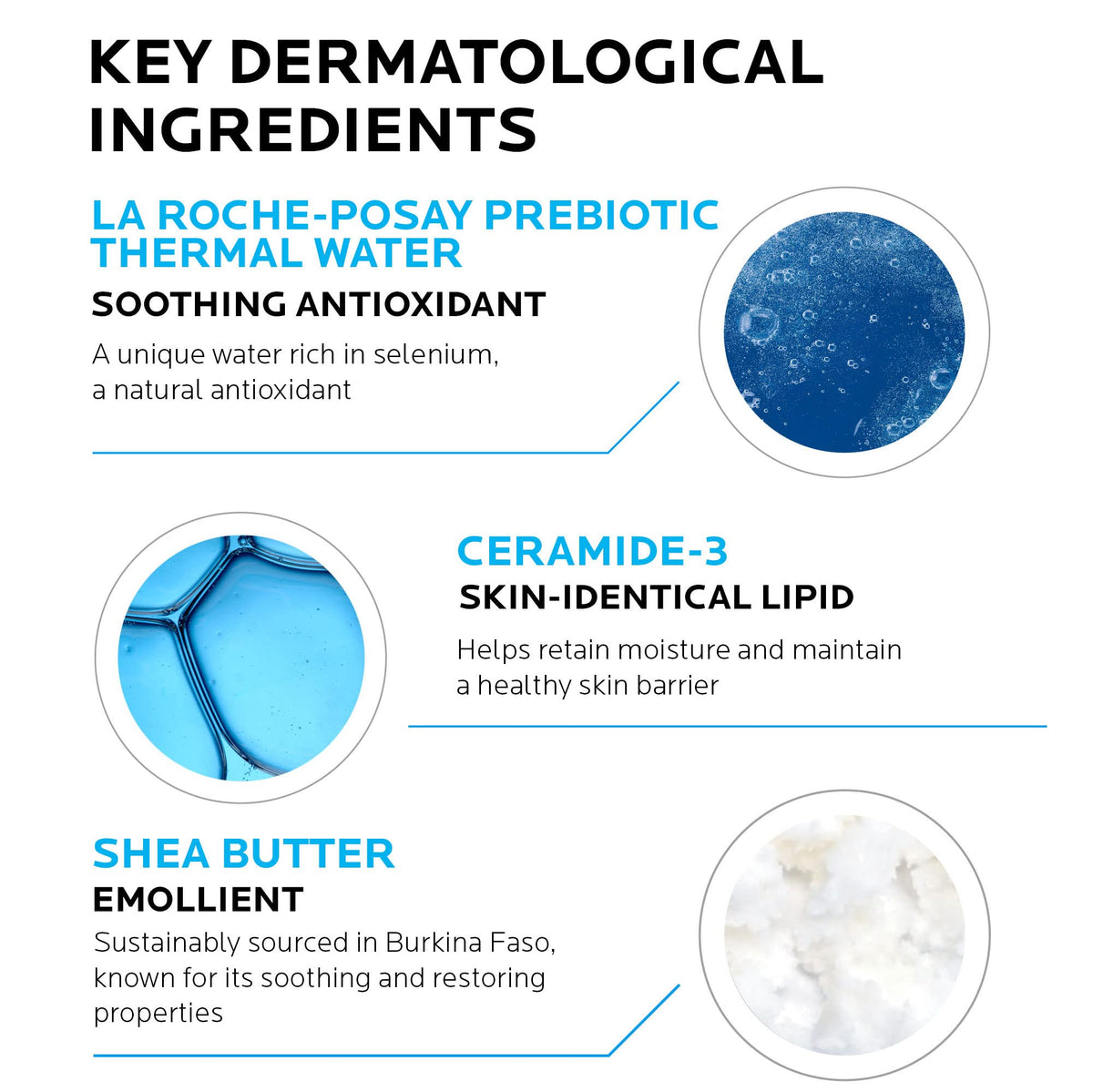 La Roche-Posay Lipikar Daily Repair Moisturizing Lotion Full Size & Travel Size Skin Care