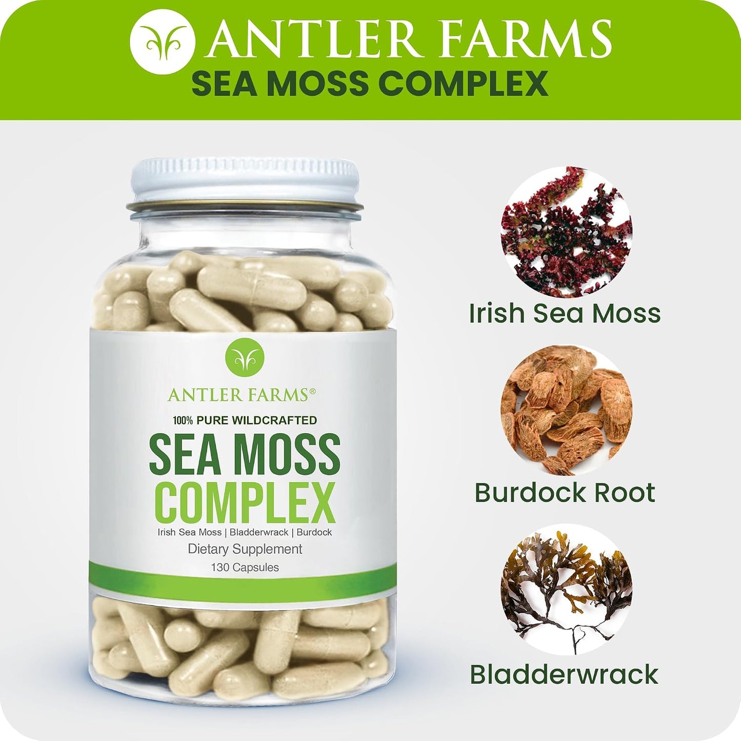 Antler Farms Sea Moss Complex - Bladderwrack, Burdock Root, 130 Capsules | Wildcrafted Irish Sea Moss, Bladderwrack, and Burdock Root, for Wellness, Vegan-Friendly, Gluten, Soy, and Dairy Free